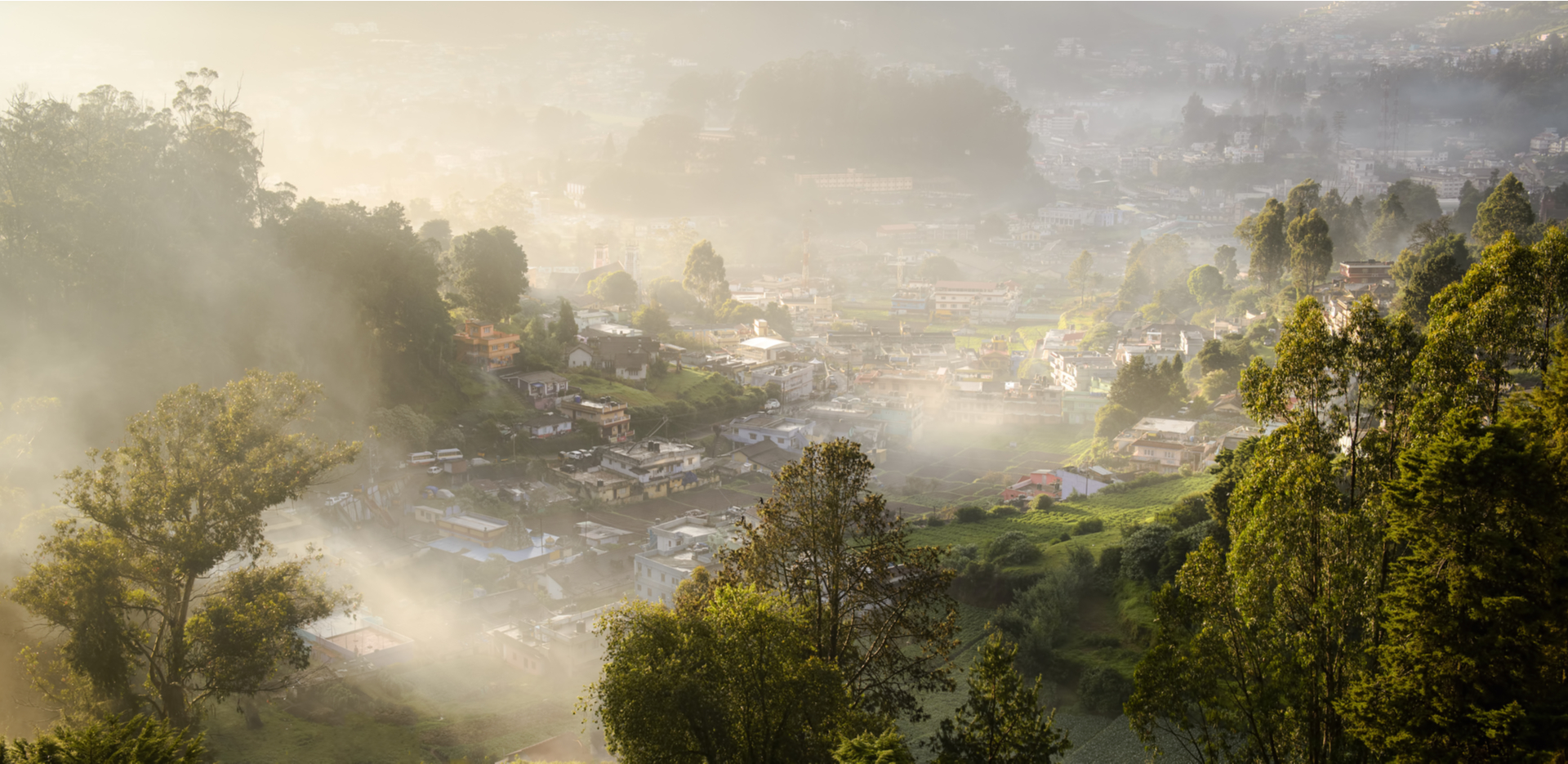 Misty morning in Tamil Nadu