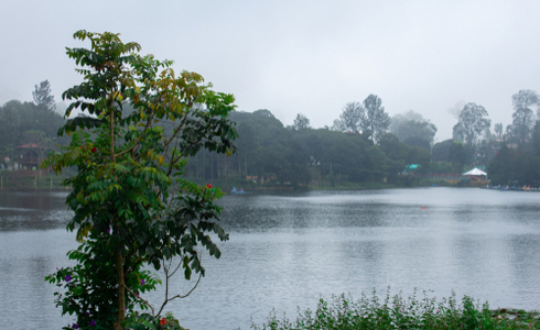 Things To Do In Yercaud - Yercaud Lake