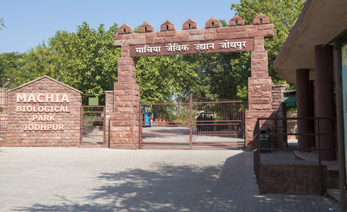 Places to Visit in Jodhpur - Machia Biological Park