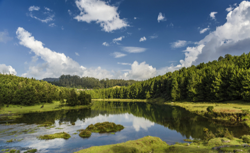 Pykara Lake, Ooty
