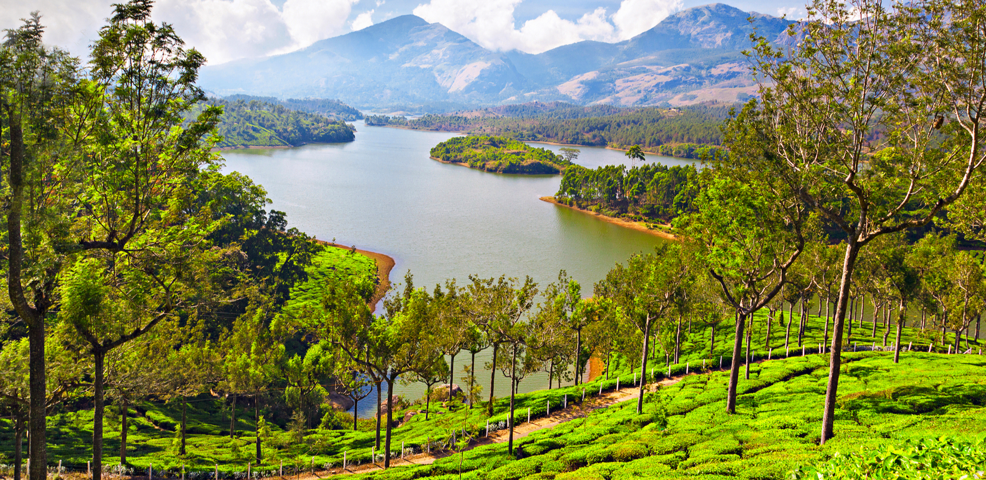 beautiful munnar