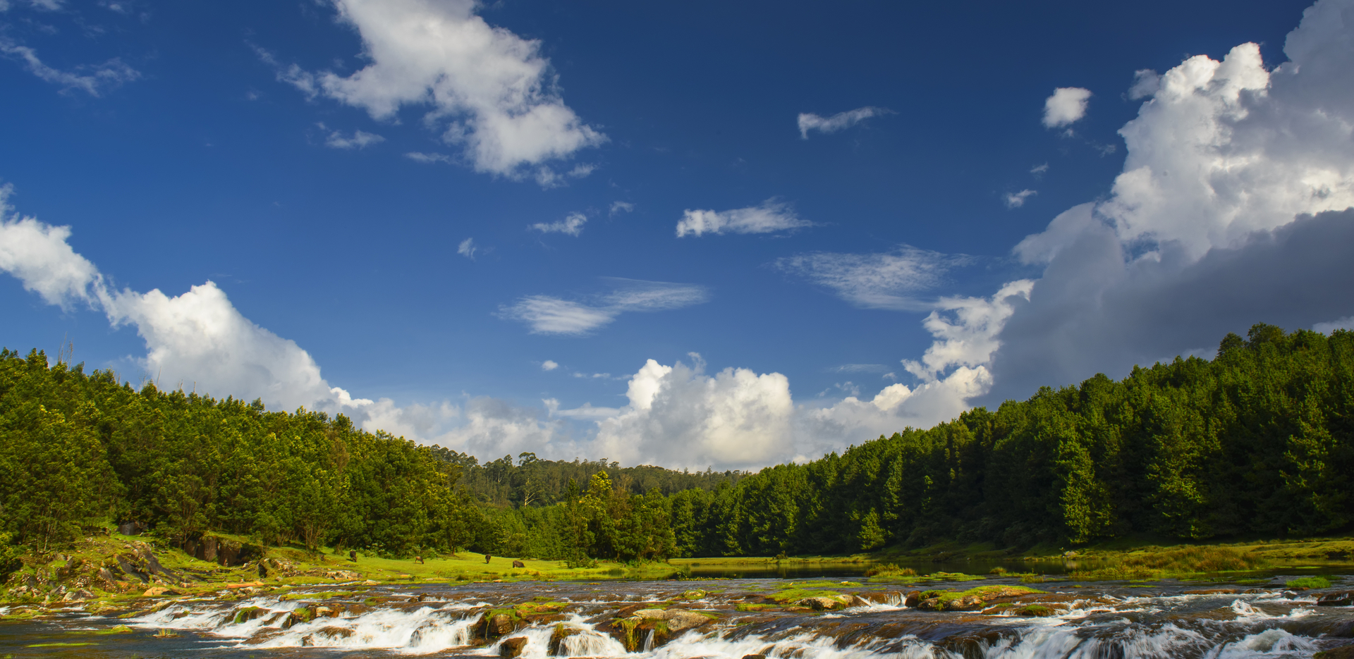 Things to do in Ooty