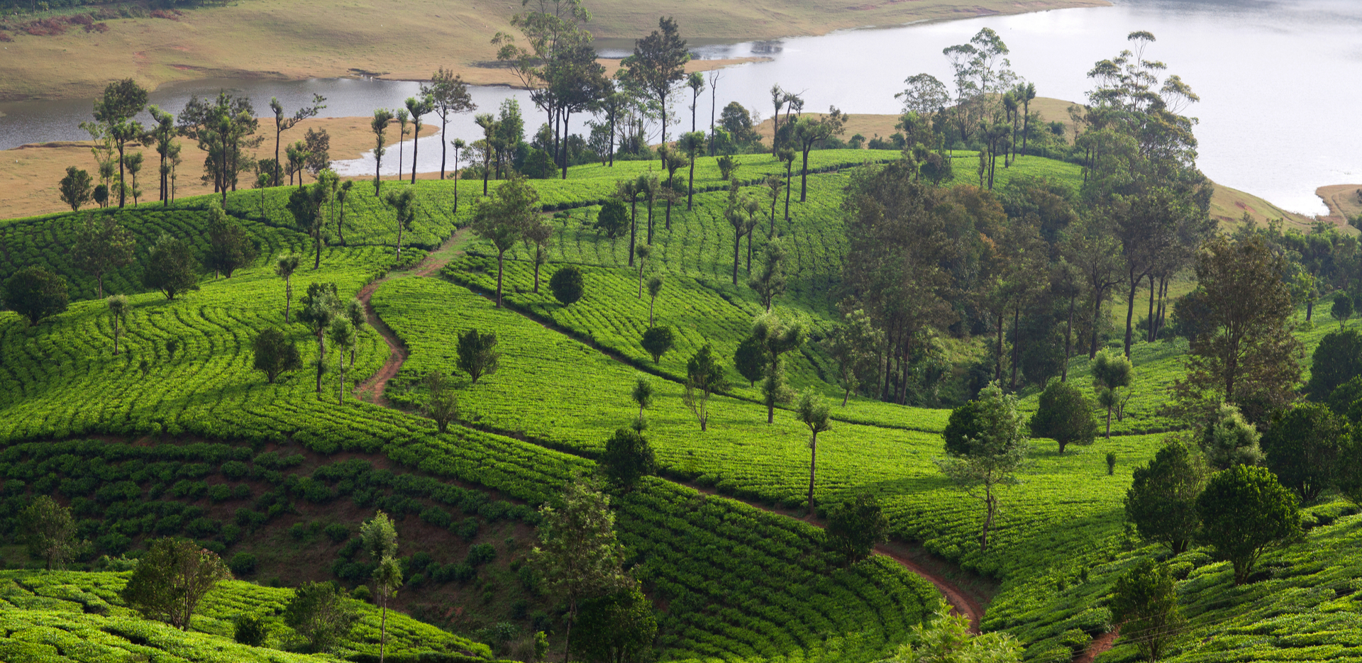 Nature In South India