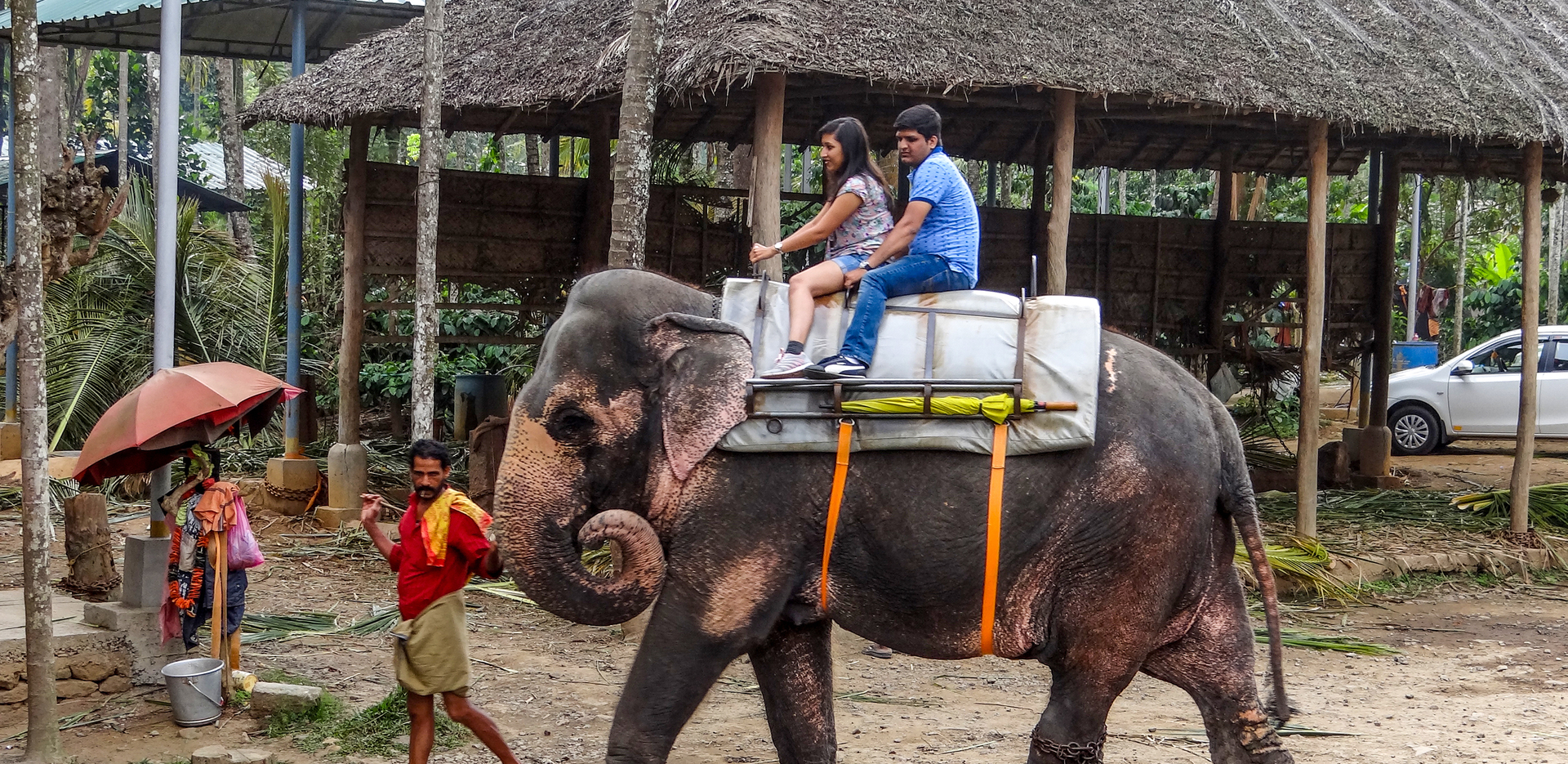 A couple enjoying the elephant ride