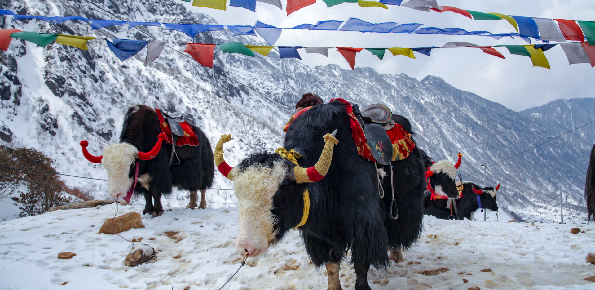 Must Visit Places in Baiguney, Sikkim