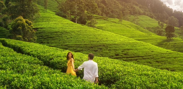 5 days Sri Lanka itinerary