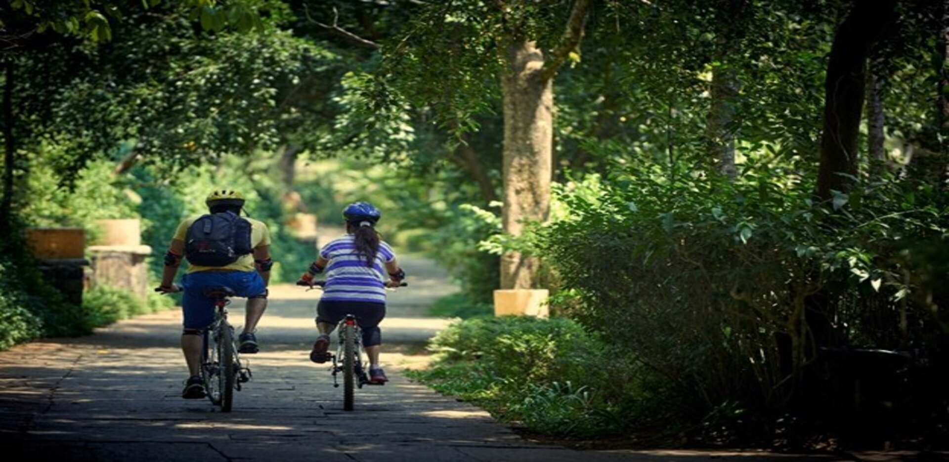 Summer Holiday Getaways from Bengaluru