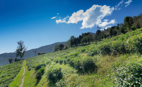 Places to Visit Sikkim - Namchi