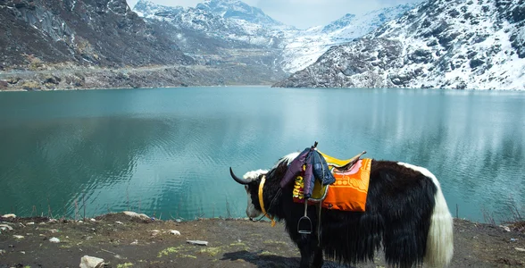 Things to do in Sikkim