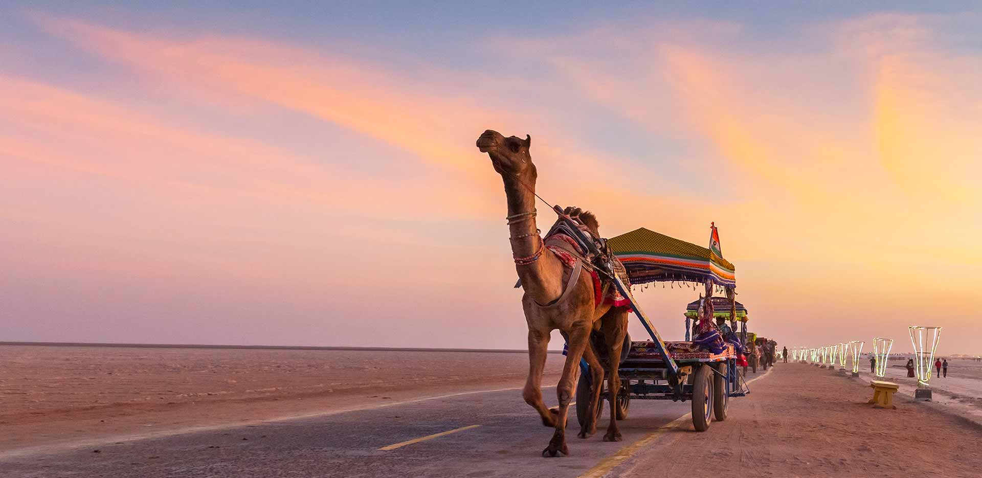 7 Reasons to Visit Rann of Kutch, Gujarat