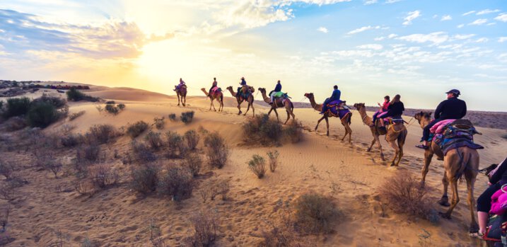 Vegetarian States in India