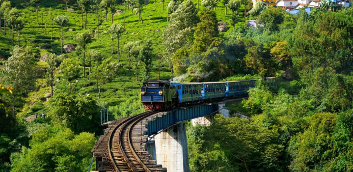 Toy Train in Ooty