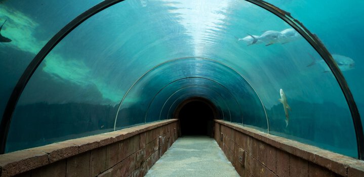 Undersea Twin Tunnel