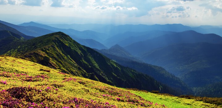 Valley of Flowers trek