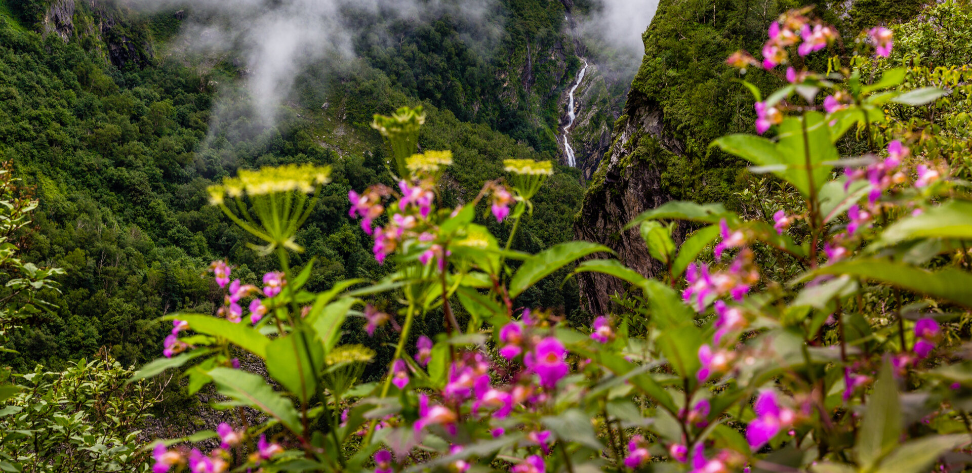 Valley of Flowers Trek in Uttarakhand