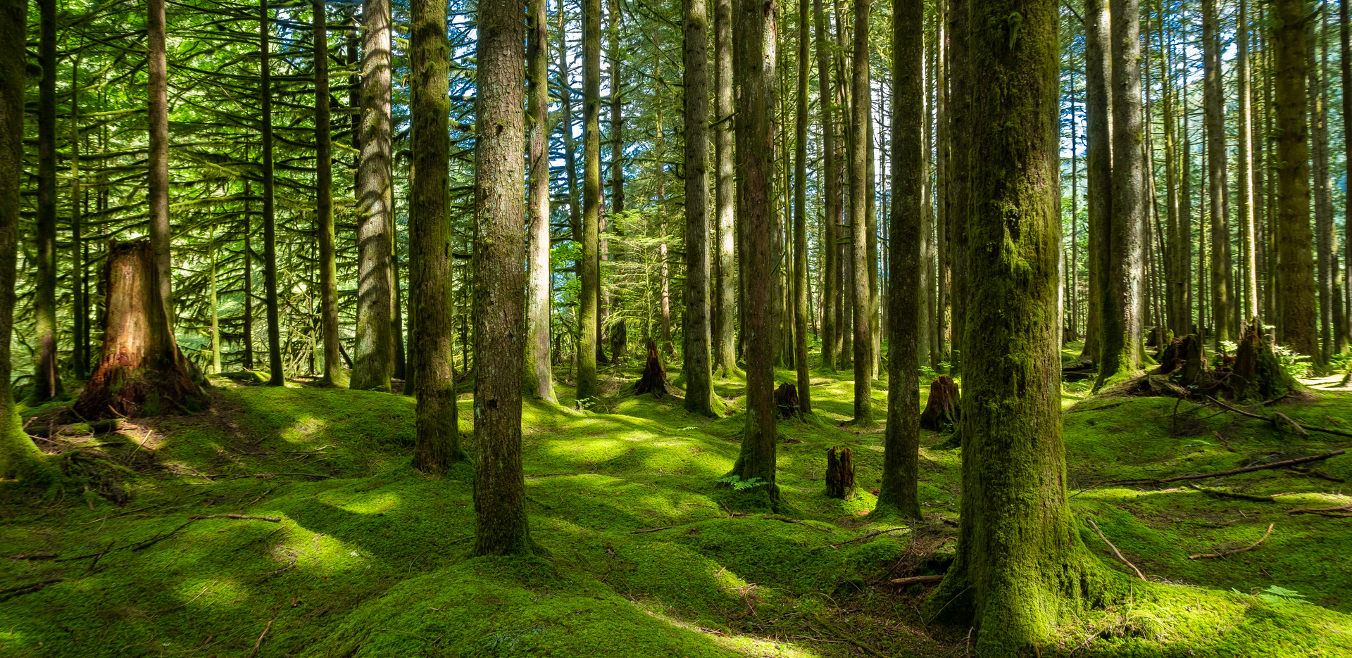 Stimulate Your Free-Spirit