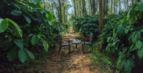 Virtual Tour of Virajpet Resort