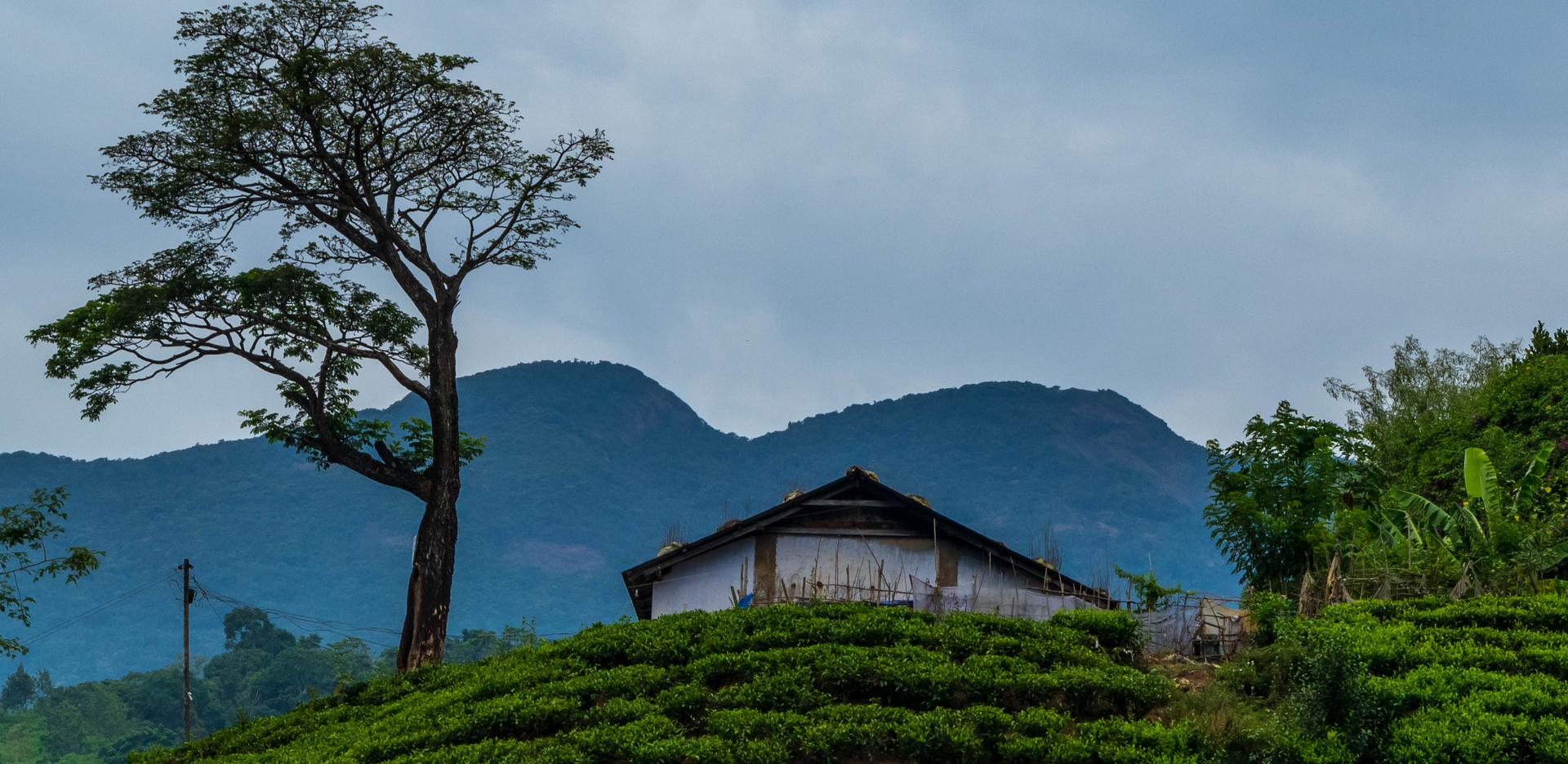 Wayanad Family Holiday