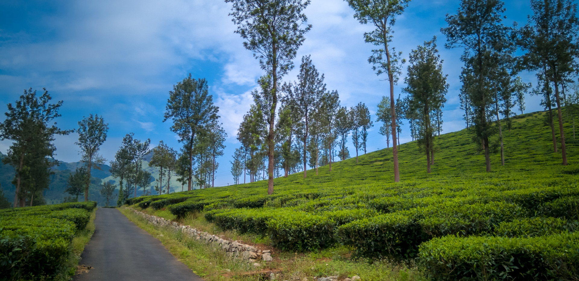 Wayanad resorts club mahindra