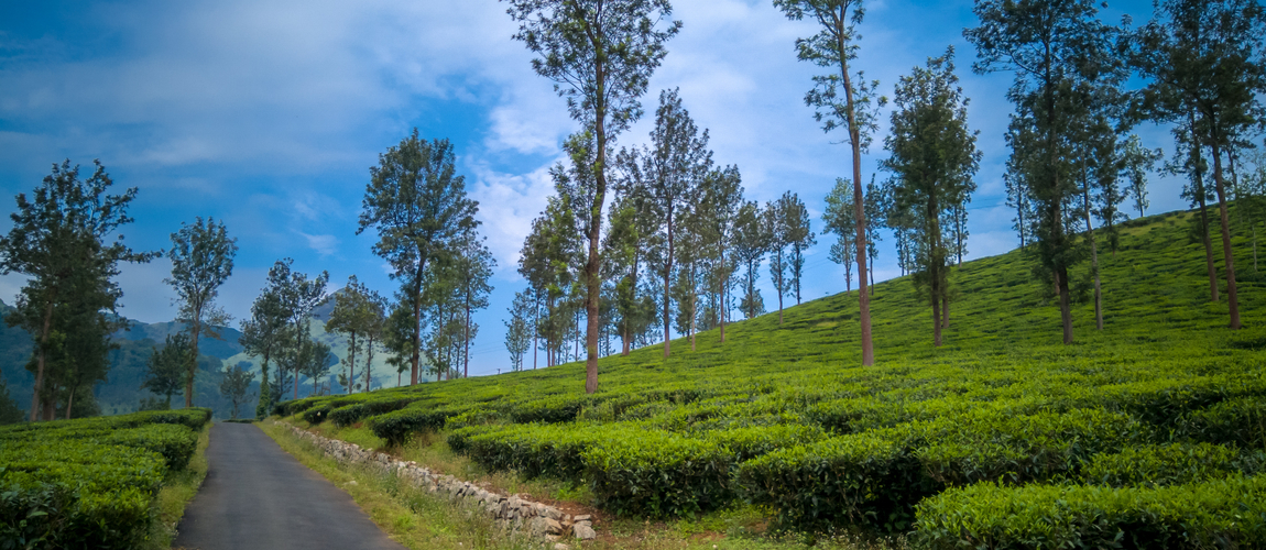 Wayanad resorts club mahindra