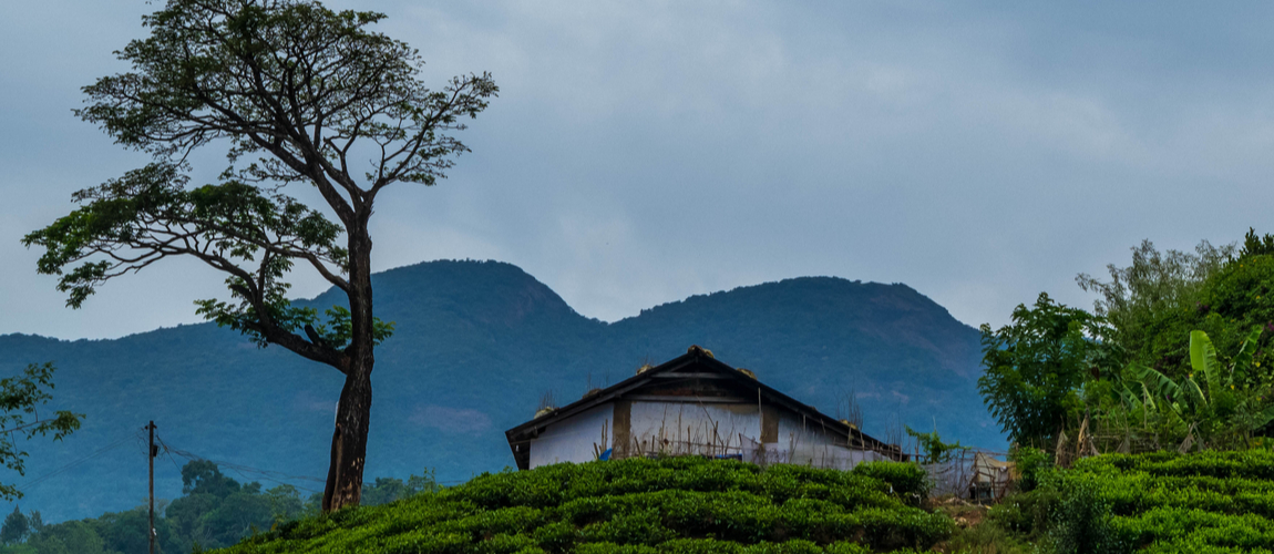 Wayanad Resort Club Mahindra