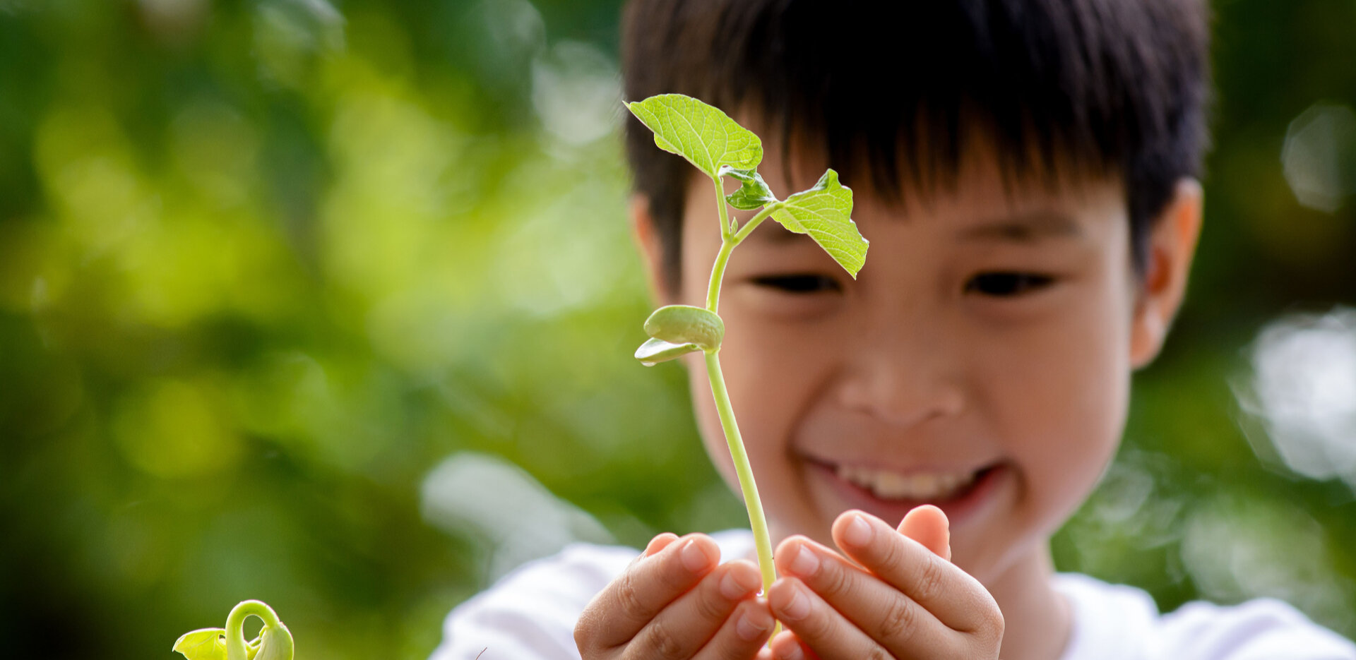 World Environment Day