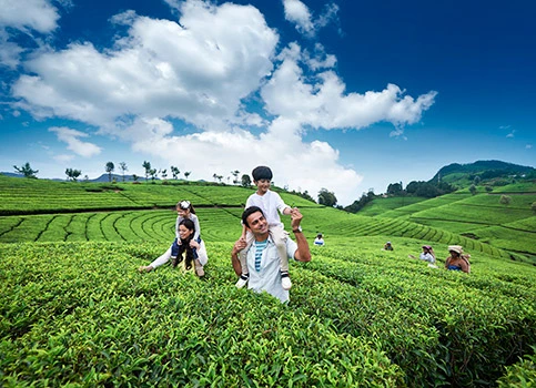 Explore India with us