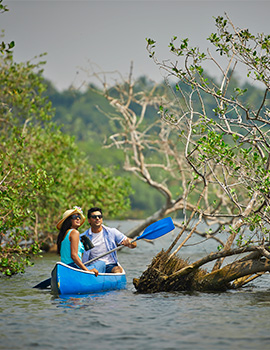 Canoeing Experience in the Backwaters